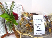 Herbs of the Bible Potpourri