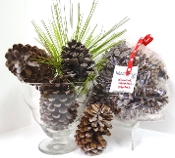 Fireplace Starters - Scented Fireplace Starters