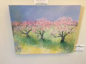 IMG_8845